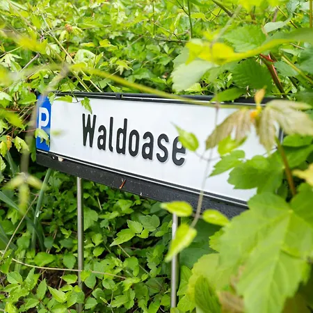 Waldoase