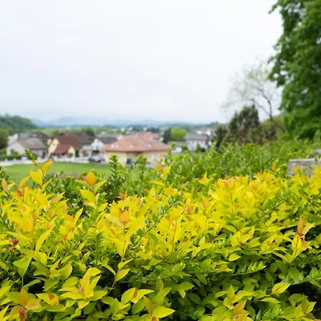 Apartment Waldoase *