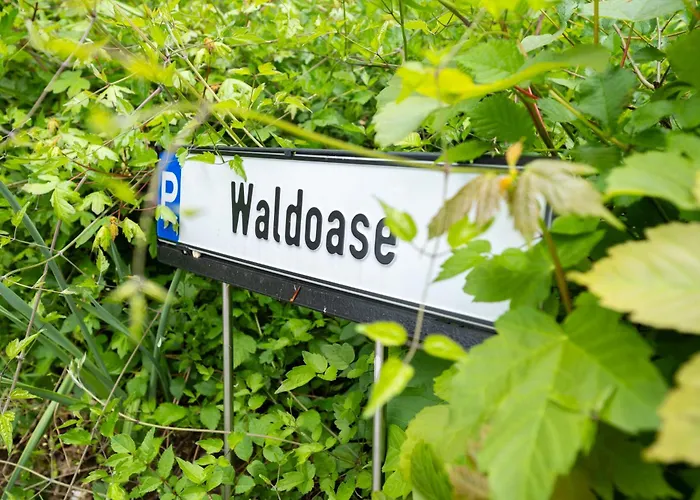 Waldoase