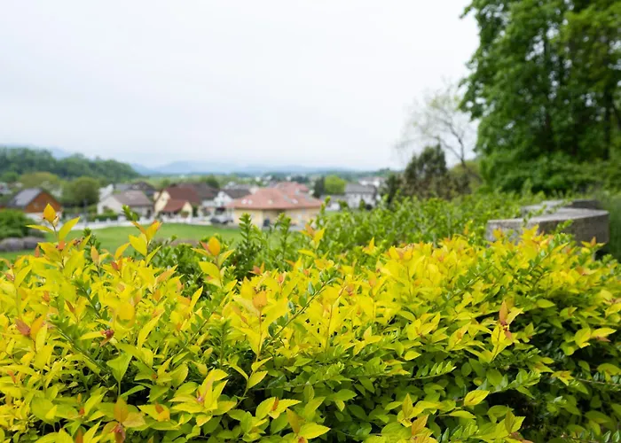 Διαμέρισμα Waldoase *